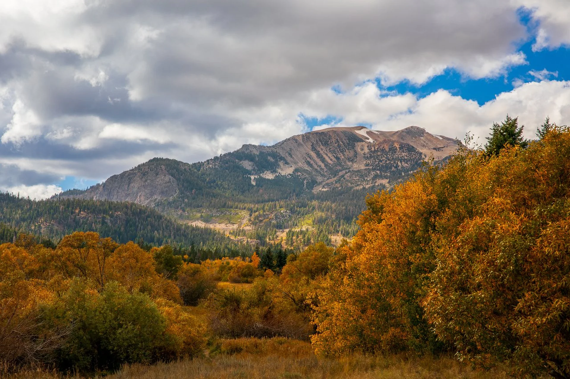 Mammoth Lakes scenic view