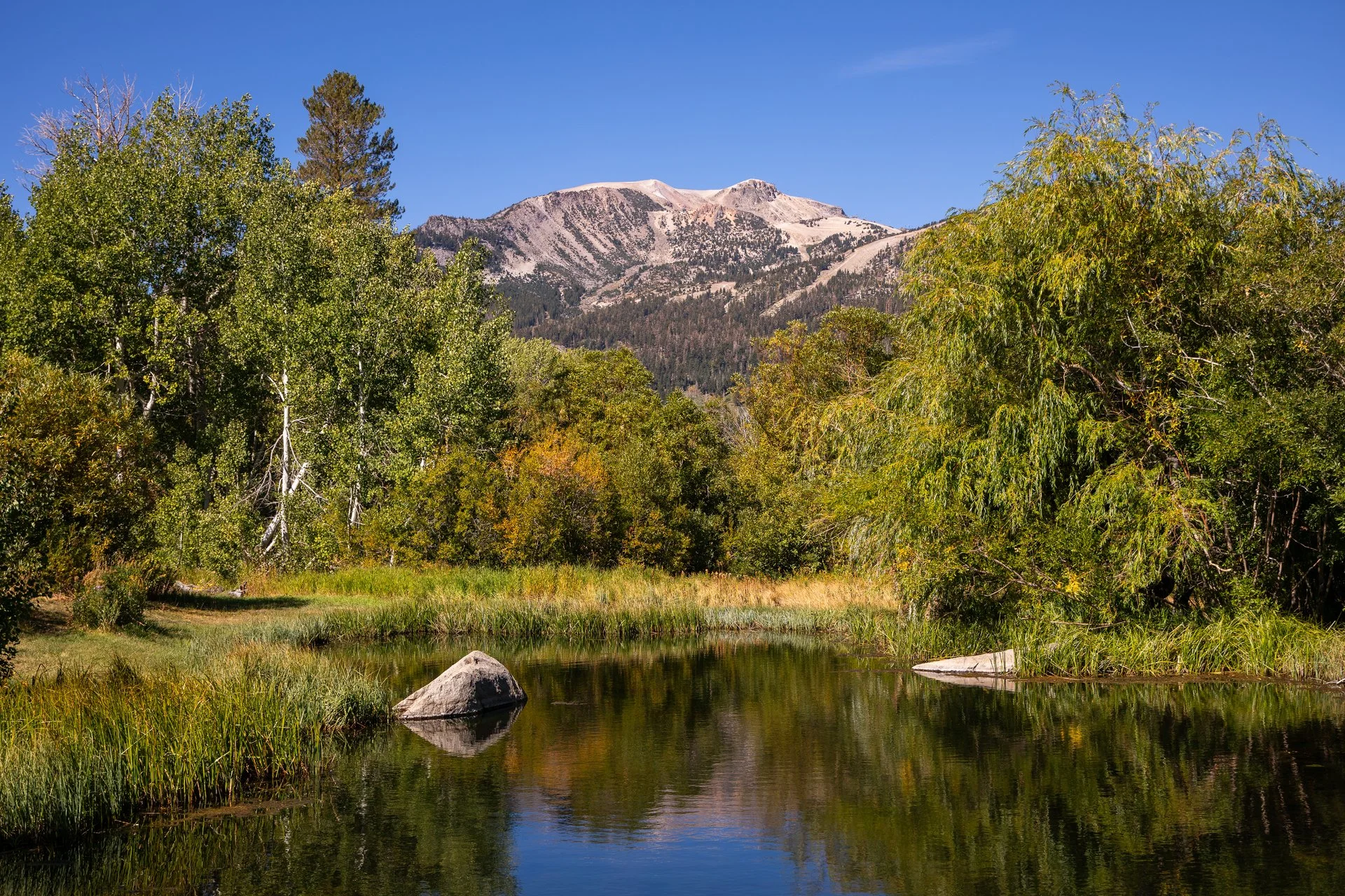 Mammoth Lakes scenic view