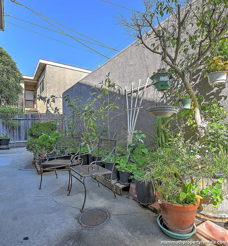 Community garden and BBQ patio shared by building residents.