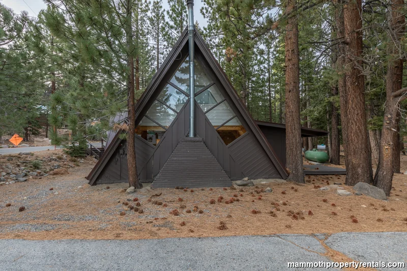 Surrounded by tall pines