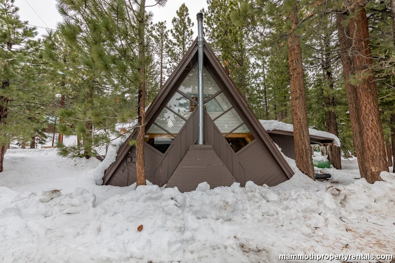 Winter wonderland setting