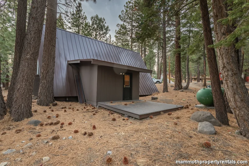 Lower back porch view