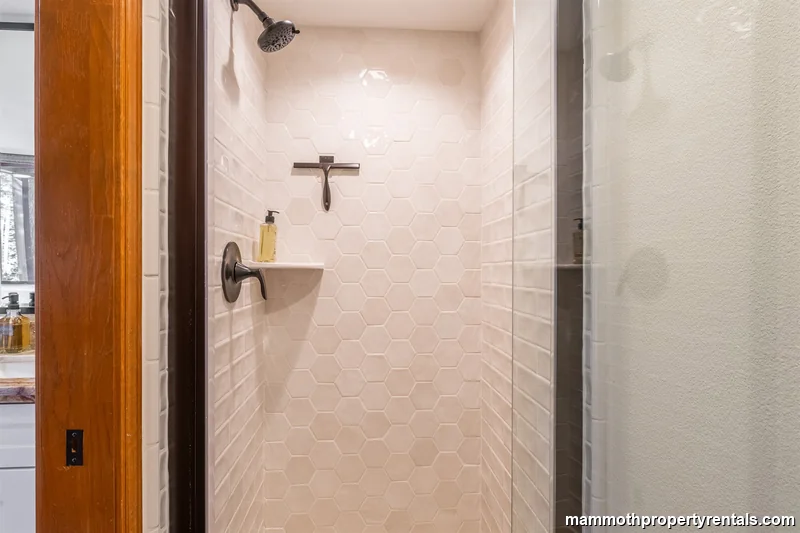 Master Bathroom Shower