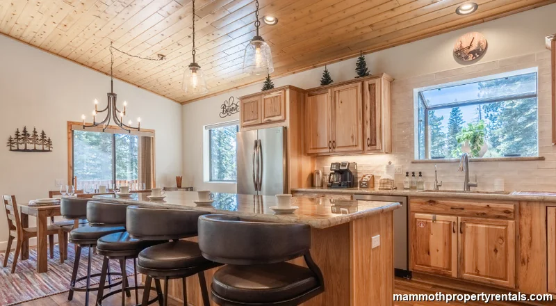 Chef's kitchen with view