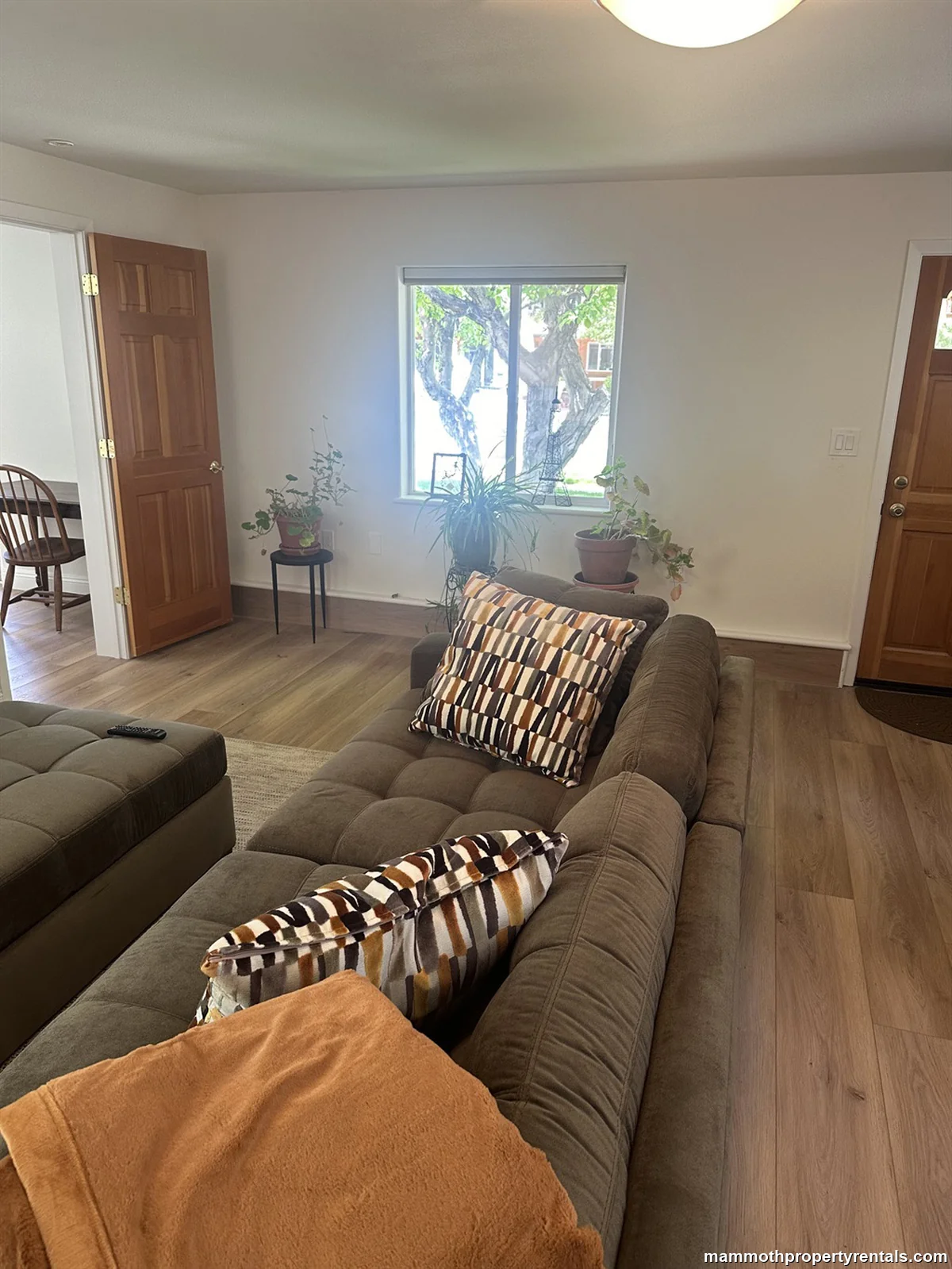 Living Room with Mountain Views
